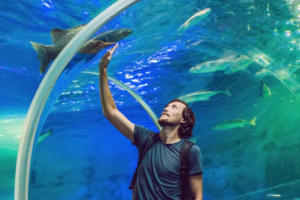 Man looks at the fish in the aquarium — Stock Photo, Image