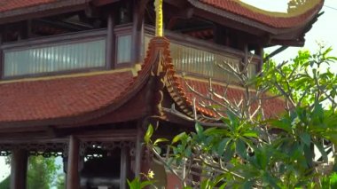 Steadycam atış bir Budist tapınağı içinde yürüyen genç bir kadın. Ho Quoc Pagoda Phu Quoc Adası, Vietnam