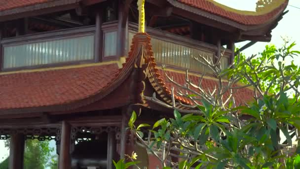 Steadycam záběr mladá žena chůze uvnitř buddhistický chrám. Ho Quoc Pagoda na ostrově Phu Quoc, Vietnam — Stock video