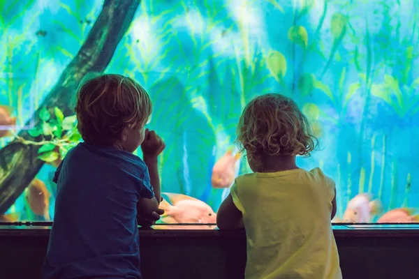 Niño y niña viendo peces de coral tropical en un gran tanque de vida marina. Niños en el acuario del zoológico — Foto de Stock