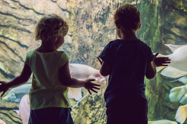 Niño y niña viendo peces de coral tropical en un gran tanque de vida marina. Niños en el acuario del zoológico — Foto de Stock