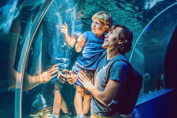 Padre Figlio Che Guardano Pesci Acquario Tunnel — Foto Stock