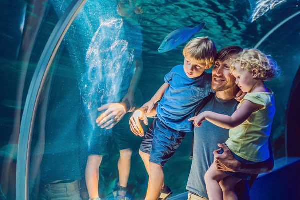 Щаслива Сім Дивиться Рибу Тунельному Акваріумі — стокове фото