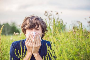 Ragweed alerjisi nedeniyle hapşırma genç adam.