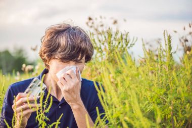 Ragweed alerjisi nedeniyle hapşırma genç adam.