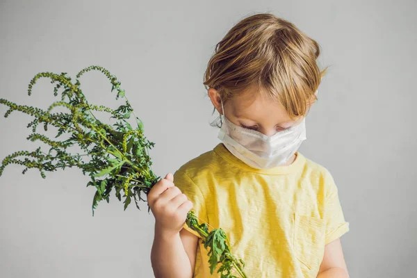 Fiú Allergiás Parlagfű Orvosi Maszkot Tartja Parlagfű Bush Kezében Ambrosia — Stock Fotó