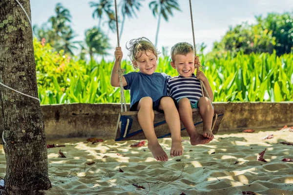 Due Piccoli Ragazzi Biondi Che Divertono Sull Altalena Sulla Costa — Foto Stock