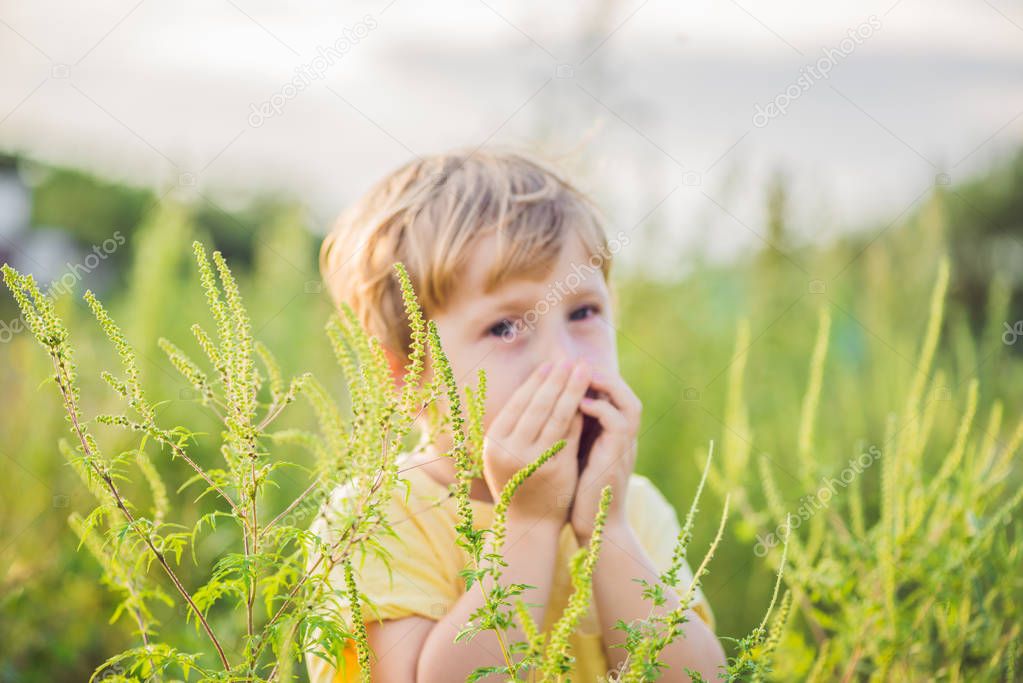 Boy sneezes because of an allergy to ragweed.