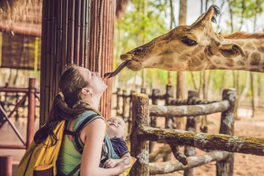 Mutlu anne ve izlemek ve hayvanat bahçesinde zürafa besleme oğlu. Mutlu aile ile hayvan safari Parkı'sıcak yaz gününde eğleniyor.