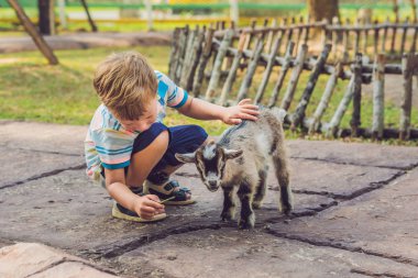 Küçük sevimli çocuk gündüz küçük bir yeni doğan keçi besleme