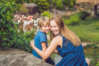 Anne ve oğlu bir gölet üzerinde pembe flamingolar Kuşlar sürüsü arıyoruz