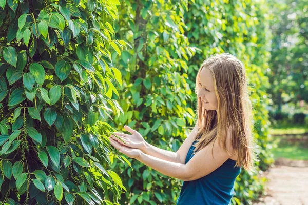 Jovem Uma Fazenda Pimenta Preta Vietnã Phu Quoc — Fotografia de Stock