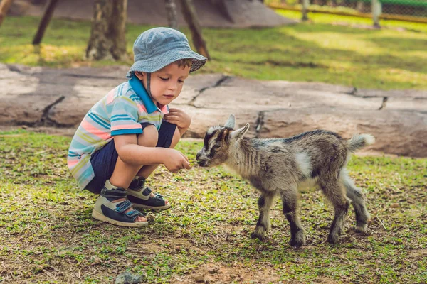 Petit Garçon Mignon Nourrit Une Petite Chèvre Nouveau Née Jour — Photo