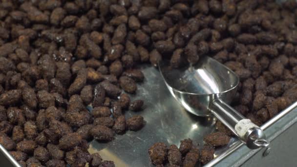 Bündel gebratener Kakaobohnen in Glasur auf einem Metallteller — Stockvideo
