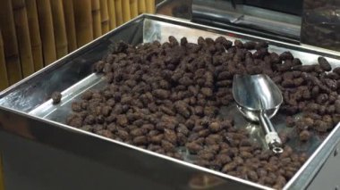 Fryed kakao çekirdekleri içinde sır metal bir plaka üzerinde demet