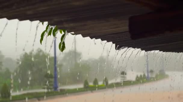 Tikje shot van een zware regen en water behoeven van een dak van een gebouw. — Stockvideo
