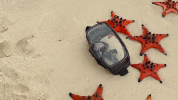 Slowmotion skott av röd sjöstjärna och dykning mask på stranden — Stockvideo