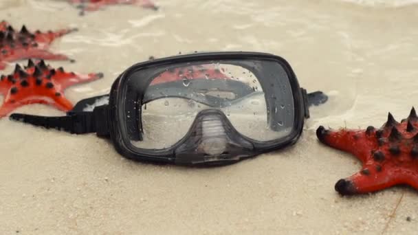 Slowmotion shot of Red starfish and diving mask on the beach — Stock Video