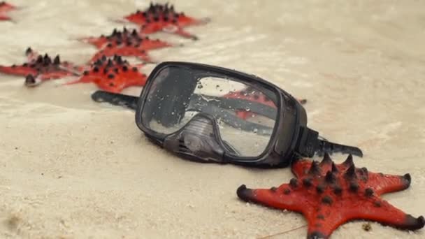 Fotografía en cámara lenta de Estrella de Mar Roja y máscara de buceo en la playa — Vídeos de Stock