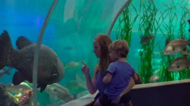 Aile bir oceanarium ziyaret etti. Kadın ve oğlu kocaman bir balık arıyorsunuz bir akvaryum boru içinde yürüyüş