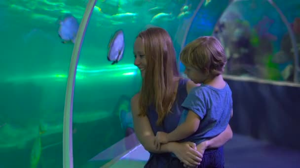 Familie besucht ein Ozeanarium. Frau und ihr Sohn gehen in ein Aquariumrohr und betrachten Fische — Stockvideo