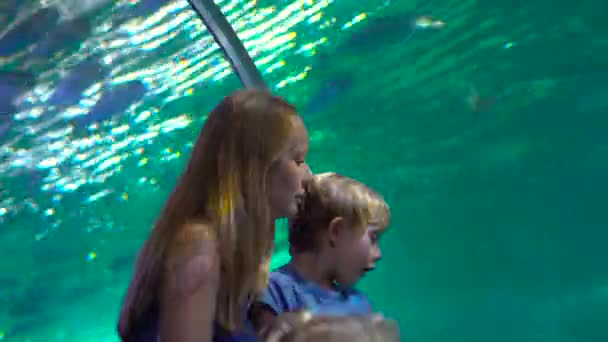 Family visits an oceanarium. Woman and her son walking inside of an aquarium pipe looking at fishes — Stock Video