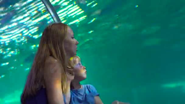 Family visits an oceanarium. Woman and her son walking inside of an aquarium pipe looking at fishes — Stock Video