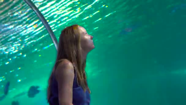 La famille visite un océanarium. Femme à l'intérieur d'un tuyau d'aquarium regardant les poissons — Video