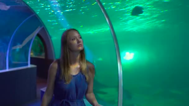 A família visita um oceanário. Steadycam tiro de uma jovem mulher andando dentro de um cachimbo de aquário olhando para peixes — Vídeo de Stock
