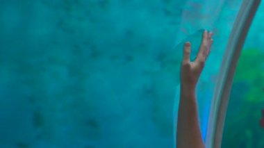 İnsiade cam dokunmak oceanarium borunun yürüyen bir kadın eli closeup çekim