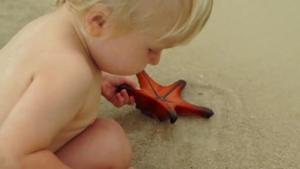 Slowmotion strzał z niemowlęciem, grając z czerwonej rozgwiazdy na plaży — Wideo stockowe