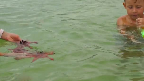 Slowmotion skott av en kvinna som håller en röd sjöstjärna i ett hav — Stockvideo