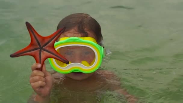 Slowmotion shot of little boy playing in a sea, snorkeling and catching red starfishes — Stock Video