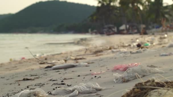 Tikje Steadycam Shot Van Een Strand Met Fijn Wit Zand — Stockvideo