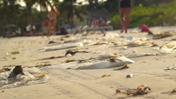 Повільна Стійка Камера Знімок Пляжу Дрібним Білим Піском Покритим Сміттям — стокове відео