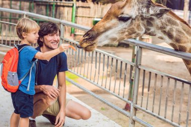 Baba ve oğul izliyor ve hayvanat bahçesinde zürafa besleme. Mutlu bir çocukluk hayvanlar safari park sıcak yaz gününde eğleniyor.