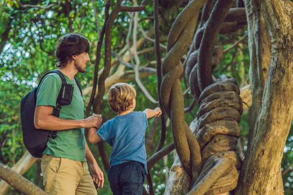 Baba ve oğul ıslak tropikal ormanlarda tropikal yaklaşık izlerken.
