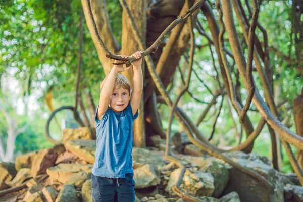 Boy Kijken Naar Tropische Lianen Natte Tropische Bossen — Stockfoto