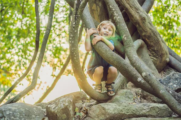 Boy Kijken Naar Tropische Lianen Natte Tropische Bossen — Stockfoto