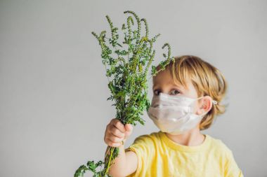 Boy is allergic to ragweed. In a medical mask, he holds a ragweed bush in his hands. Allergy to ambrosia concept.. clipart