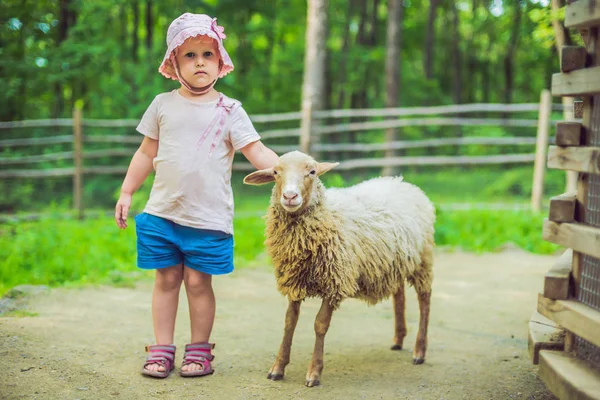 Petite Fille Avec Agneau Ferme — Photo