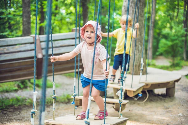 肖像的可爱小男孩和女孩在冒险绳公园绳桥上行走 — 图库照片