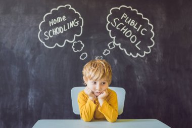 Evde eğitim vs - oğlan masada oturur ve ev okullaşma ve devlet okulu arasında seçer - okullarında vs öğrenmek ve evde ailesi ile çalışma öğretmen tarafından eğitimli.