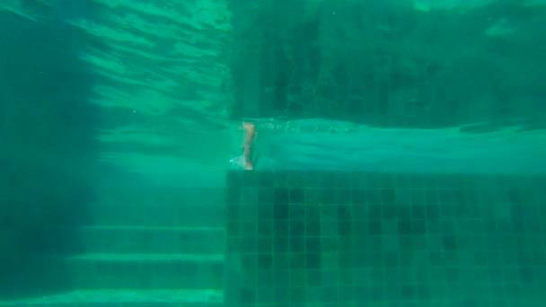 Ultraschall-Zeitlupe Unterwasseraufnahmen eines Kleinkindes, das in einen Pool springt. — Stockvideo