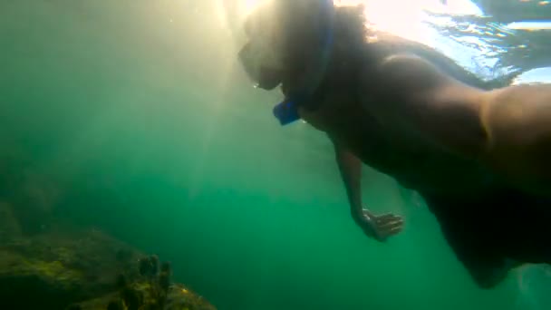 Ralenti ultrahd prise de vue sous-marine d'un homme plongeant en mer sur une île troïdale — Video