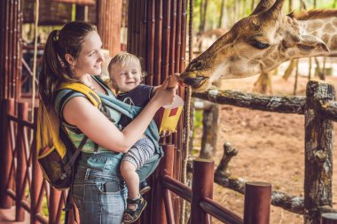 Mutlu anne ve izlemek ve hayvanat bahçesinde zürafa besleme oğlu. Mutlu aile ile hayvan safari Parkı'sıcak yaz gününde eğleniyor.