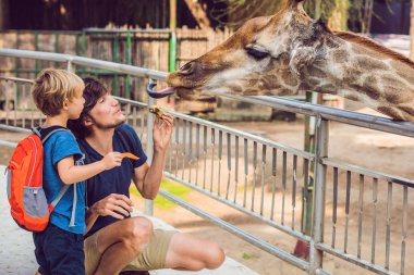 Baba ve oğul izliyor ve hayvanat bahçesinde zürafa besleme. Mutlu bir çocukluk hayvanlar safari park sıcak yaz gününde eğleniyor.