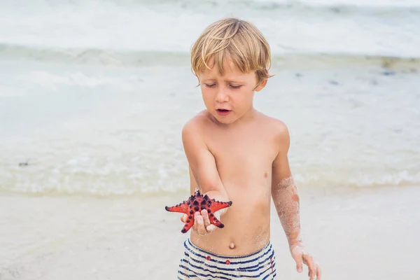 Chłopiec Czerwone Rozgwiazdy Tle Morza — Zdjęcie stockowe