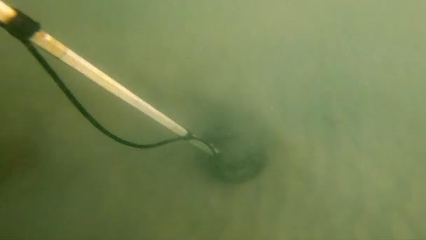 silhouette d'un homme dans la mer à l'aide d'un détecteur de métaux pour trouver des bijoux perdus par les touristes 