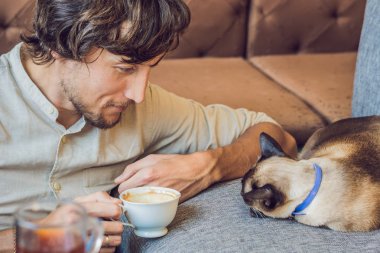 Kahve içme ve kedi okşayarak genç adam